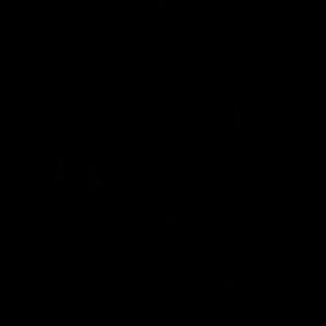 Meet your Posher, Karlie